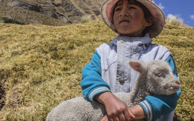 球员与球队历史战绩数据库查询界面